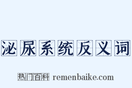 泌尿系统反义词是什么意思的图片